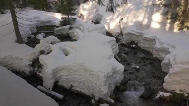 Winter Den Alpen Der Tatra Und Den Karpaten Viel Schnee — Stockvideo