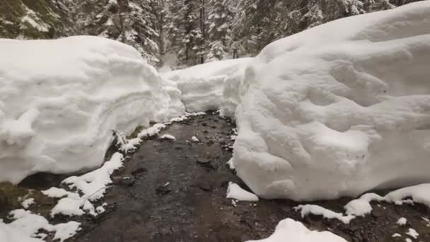 Invierno Los Alpes Tatras Cárpatos Hay Mucha Nieve Hermosos Canales — Vídeos de Stock