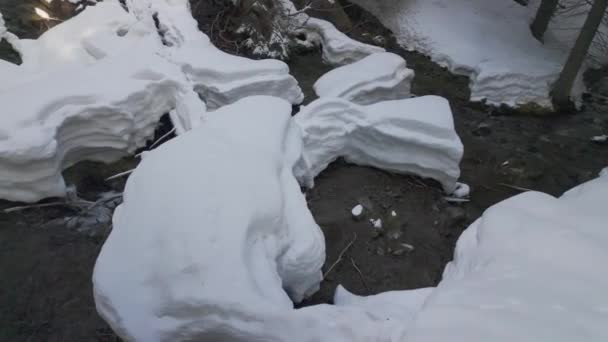 在阿尔卑斯山 塔特拉河 喀尔巴阡山脉 有很多雪 美丽的运河 春天生出清澈清澈的溪流 流入河流和大海 — 图库视频影像