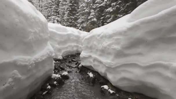 Invierno Los Alpes Tatras Cárpatos Hay Mucha Nieve Hermosos Canales — Vídeo de stock