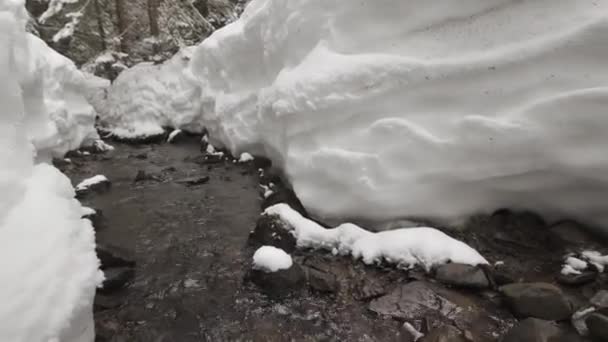 在阿尔卑斯山 塔特拉河 喀尔巴阡山脉 有很多雪 美丽的运河 春天生出清澈清澈的溪流 流入河流和大海 — 图库视频影像