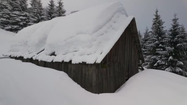 Cárpatos Invierno Pequeña Granja Transcarpática Alto Las Montañas Una Casa — Vídeo de stock