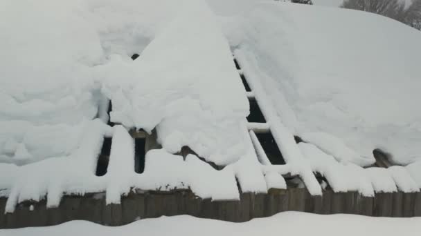 冬天的喀尔巴阡山 高山上的外喀尔巴阡小农场 一座孤零零的房子和两个牛棚 屋顶上有狐狸的踪迹 四周都是野林 — 图库视频影像