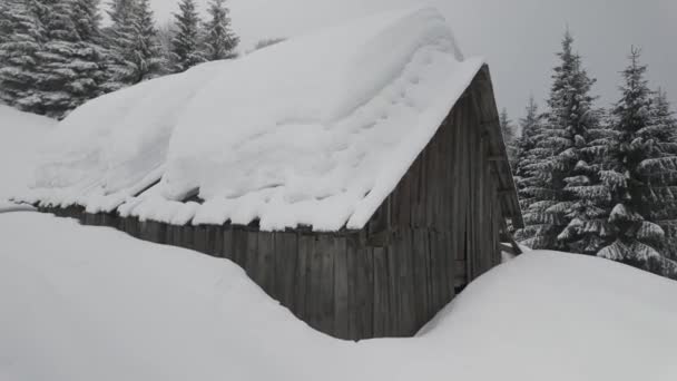 Winter Carpathians Transcarpathian Small Farm High Mountains Lonely House Two — Stock Video