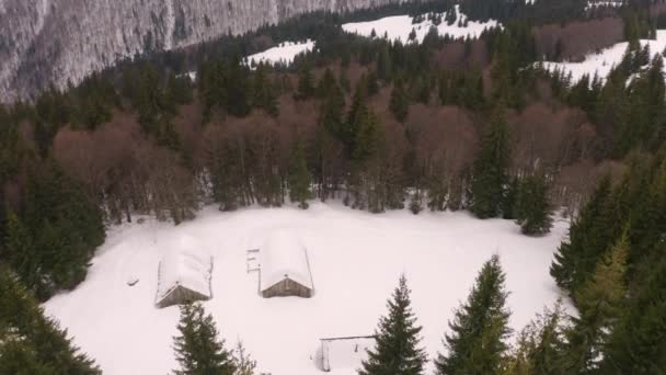 Dron Otáčí Nad Karpatskou Lesní Farmou Horolezců Ztracený Mezi Bukovými — Stock video