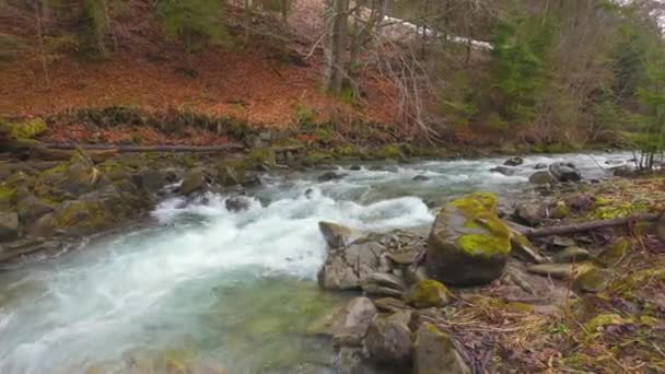 Clear Mountain River Melted Snow Andwith Emerald Colored Water Banks — Stock Video