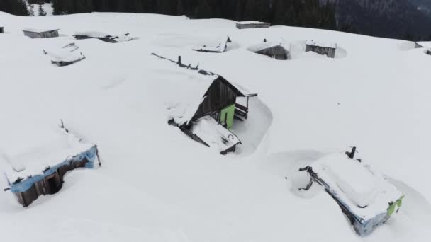 Drone Maakt Bochten Karpaten Weide Waar Herders Grazen Koeien Schapen — Stockvideo
