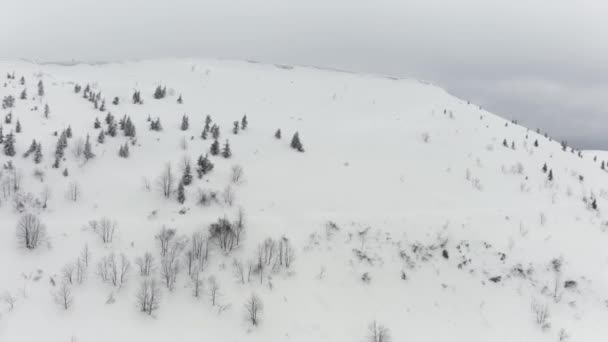 Drone Gør Sving Karpaternes Top Kronet Med Snedækket Gesims Hvorfra – Stock-video