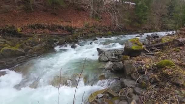 Rio Montanha Clara Neve Derretida Ecom Água Cor Esmeralda Nas — Vídeo de Stock