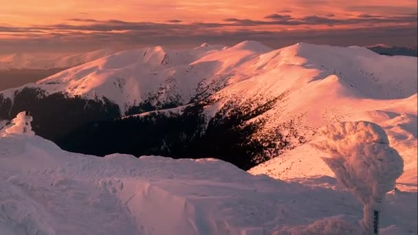 カルパティアンズのモンテネグリンの尾根の日没と日の出 カラフルな光景 ポップ イヴァンからホバーラとペトロまで金色とピンクのピーク — ストック動画