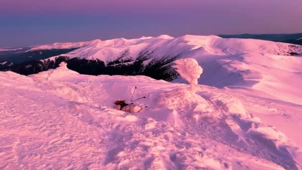 カルパティアンズのモンテネグリンの尾根の日没と日の出 カラフルな光景 ポップ イヴァンからホバーラとペトロまで金色とピンクのピーク — ストック動画