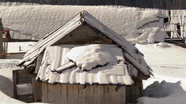 Észak Amerika Kanada Vadonjában Vannak Elhagyatott Pásztorfarmok Amelyek Jack London — Stock videók