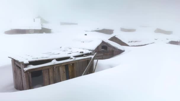 ウクライナのカルパチアのドイツの牧草地 夏には牛と羊の牧者 冬の霧と雪が屋根を覆う — ストック動画