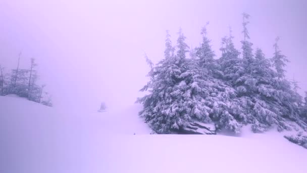 Μια Χιονοθύελλα Και Παγετός Γύρισε Ψηλά Βουνά Έλατο Δέντρα Και — Αρχείο Βίντεο