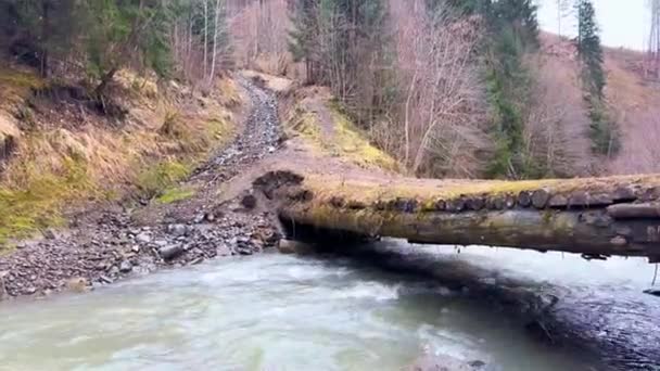 カルパティア人 ウクライナ 高山の木製の古い橋は湿気とトラックの重さに沈み 森を切り落とし すぐに川に落ち 道路と交通をブロックします — ストック動画
