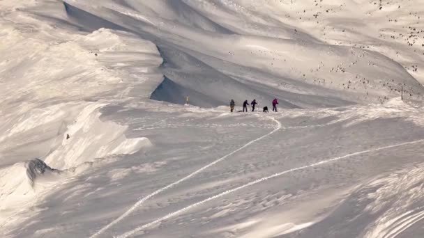 Cárpatos Ucrânia Observatório Antigo Alta Altitude Monte Pip Ivan Black — Vídeo de Stock