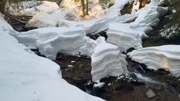 Взимку Альпах Татрах Карпатах Багато Снігу Красивих Каналів Навесні Народжуються — стокове відео