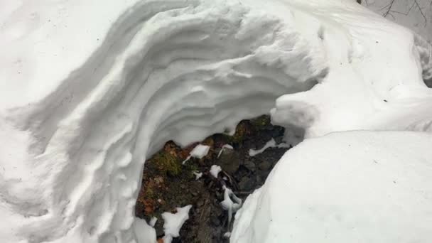 Χειμώνα Στις Άλπεις Tatras Καρπάθια Υπάρχει Πολύ Χιόνι Όμορφα Κανάλια — Αρχείο Βίντεο