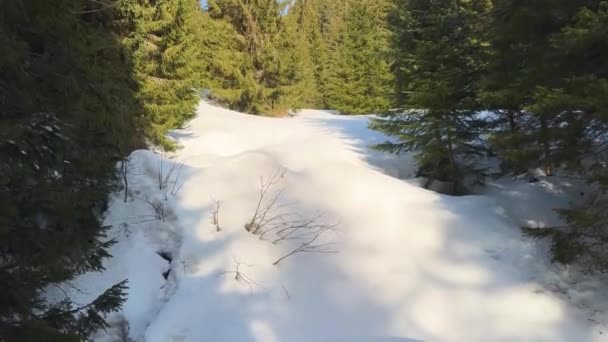 Vintern Alperna Tatras Karpaterna Det Finns Hel Del Snö Vackra — Stockvideo