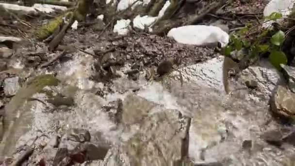 アルプス タトラ カルパチアンでは 春には雪がたくさんあり 明確な川や海に流れ込む明確な流れを生み出しています — ストック動画