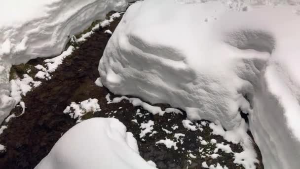 Zimě Alpách Tatrách Karpat Spousta Sněhu Krásných Kanálů Jaře Rodí — Stock video
