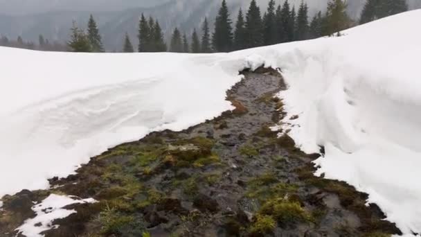 Winter Den Alpen Der Tatra Und Den Karpaten Viel Schnee — Stockvideo