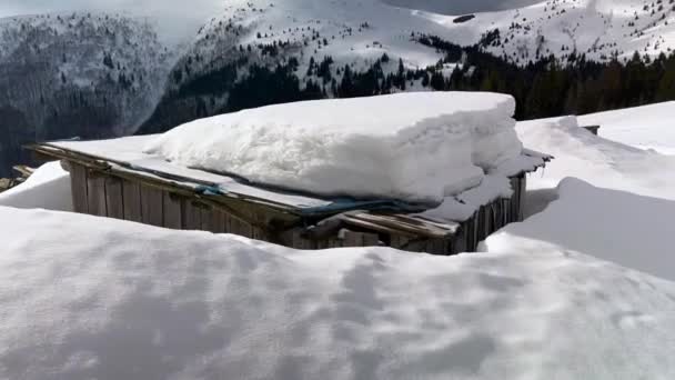 Tanta Nieve Caído Pasto Alpino Los Cárpatos Ucrania Que Los — Vídeos de Stock