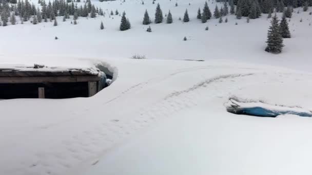 Mycket Snö Har Fallit Alpin Betesmark Karpaterna Ukraina Att Terränggående — Stockvideo