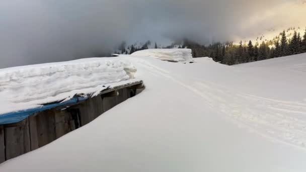 Mycket Snö Har Fallit Alpin Betesmark Karpaterna Ukraina Att Terränggående — Stockvideo