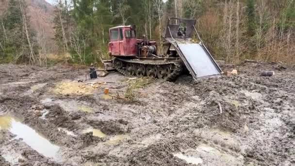 喀尔巴阡山森林砍伐 看到泥土和破坏 摧毁树木 土壤和河流污染 古代苏联全地形拖拉机爬行器 — 图库视频影像