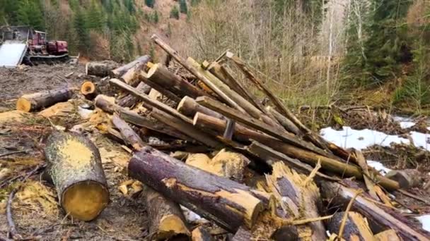 Karpatenbossen Het Zien Van Vuil Vernietiging Vernielde Bomen Bodem Riviervervuiling — Stockvideo