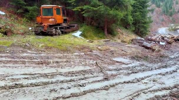 Karpacki Las Polana Widząc Brud Zniszczenie Zniszczone Drzewa Gleba Zanieczyszczenie — Wideo stockowe