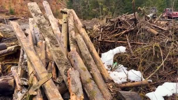 Karpatenbossen Het Zien Van Vuil Vernietiging Vernielde Bomen Bodem Riviervervuiling — Stockvideo