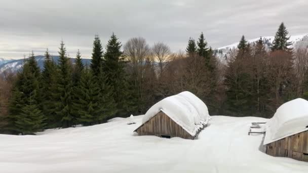 Зимние Карпаты Закарпатская Маленькая Ферма Высоко Горах Одинокий Дом Две — стоковое видео