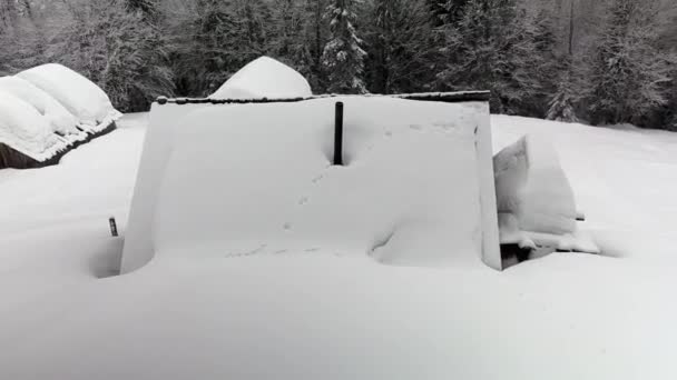 冬天的喀尔巴阡山 高山上的外喀尔巴阡小农场 一座孤零零的房子和两个牛棚 屋顶上有狐狸的踪迹 四周都是野林 — 图库视频影像