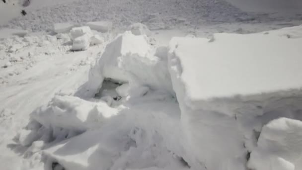 Powerful Avalanche Fell Alpine Slope Ukrainian Carpathians Huge Blocks Snow — Stock Video