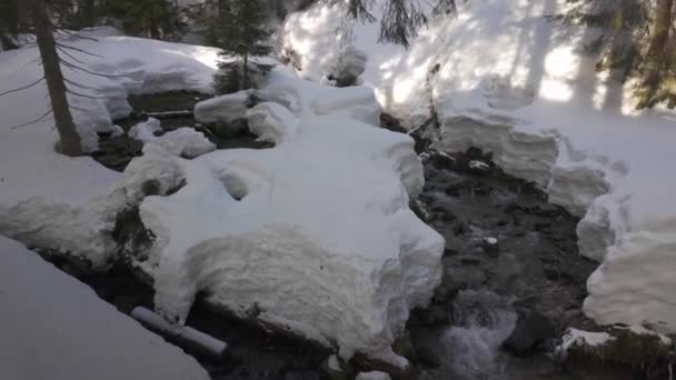 Inverno Nos Alpes Tatras Cárpatos Muita Neve Belos Canais Primavera — Vídeo de Stock