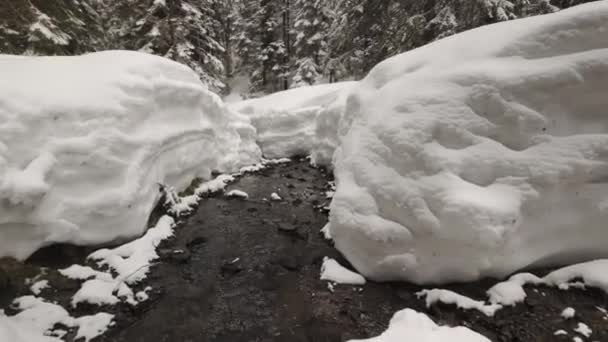 Inverno Nos Alpes Tatras Cárpatos Muita Neve Belos Canais Primavera — Vídeo de Stock