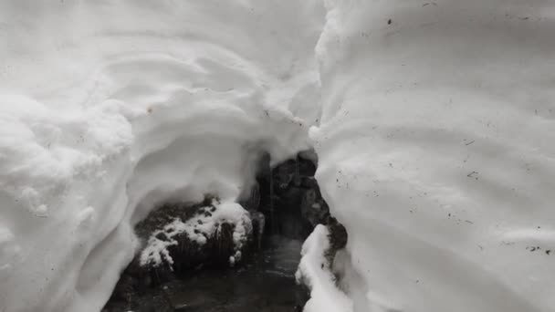 Зимой Альпах Татрах Карпатах Много Снега Красивых Каналов Весной Рождаются — стоковое видео