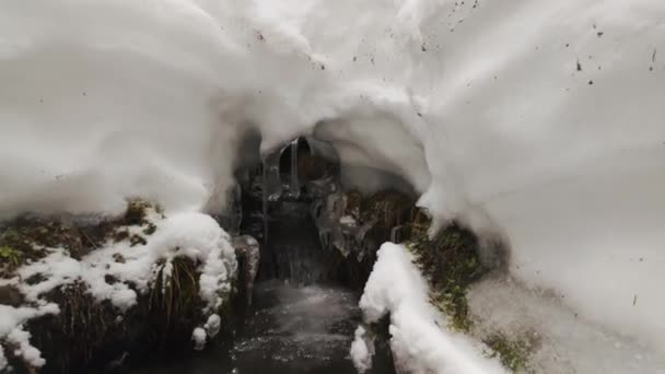 Зимой Альпах Татрах Карпатах Много Снега Красивых Каналов Весной Рождаются — стоковое видео