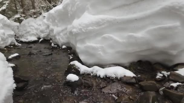 Взимку Альпах Татрах Карпатах Багато Снігу Красивих Каналів Навесні Народжуються — стокове відео