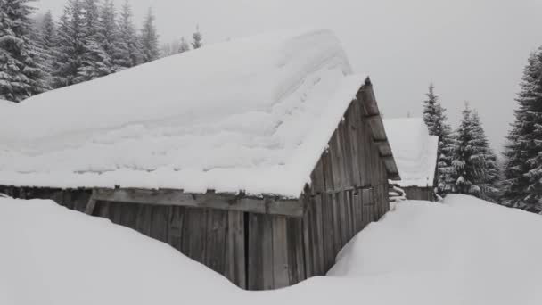 Inverno Cárpatos Transcarpathian Pequena Fazenda Alto Das Montanhas Uma Casa — Vídeo de Stock