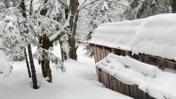 Winter Carpathians Transcarpathian Small Farm High Mountains Lonely House Two — Stock Video