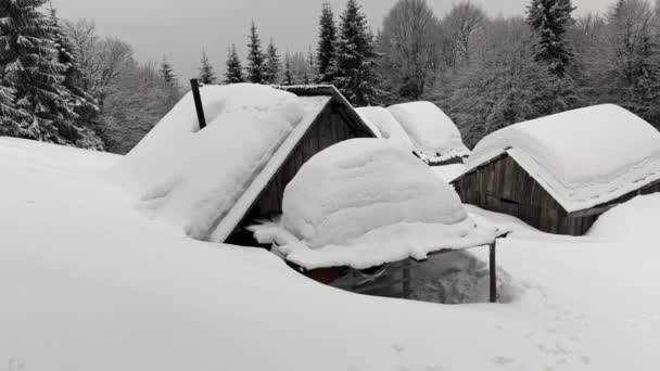 Zimowe Karpaty Zakarpacka Mała Farma Wysoko Górach Samotny Dom Dwie — Wideo stockowe