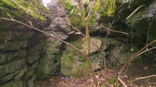 Arpad Line Bunker Första Världskriget Eran Defensiv Position Det Sprängdes — Stockvideo