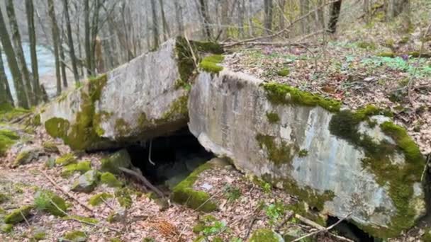 Arpad Line Bunker Eerste Wereldoorlog Tijdperk Een Defensieve Positie Het — Stockvideo