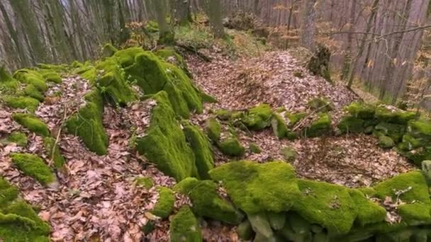 Stihkamın Kalıntıları Siperler Sığınaklar Dağın Tepesindeki Birinci Dünya Savaşı Askerleri — Stok video