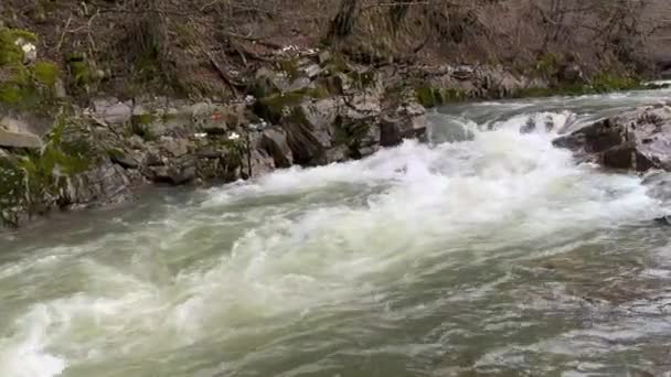 Kültürsüz Insanlar Nehre Çöp Atıyor Hızlı Polietilen Diğer Çözülemeyen Atıkları — Stok video