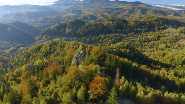 乌克兰秋天喀尔巴阡山脉鸟瞰全景 巨大的岩石沿着山坡 五彩斑斓的山毛榉 桦树和针叶林如画地散布着 — 图库视频影像