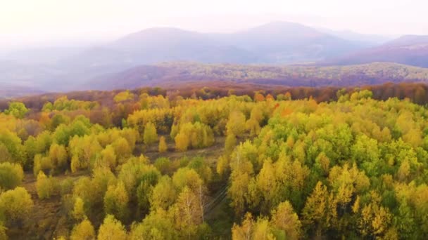 一架无人驾驶飞机飞越乌克兰上空 鸟瞰了喀尔巴阡山脉 山毛榉 桦树和针叶林 五彩斑斓 泥泞的旅行道路 — 图库视频影像